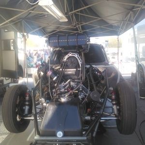 Meet your Posher, Jamaree